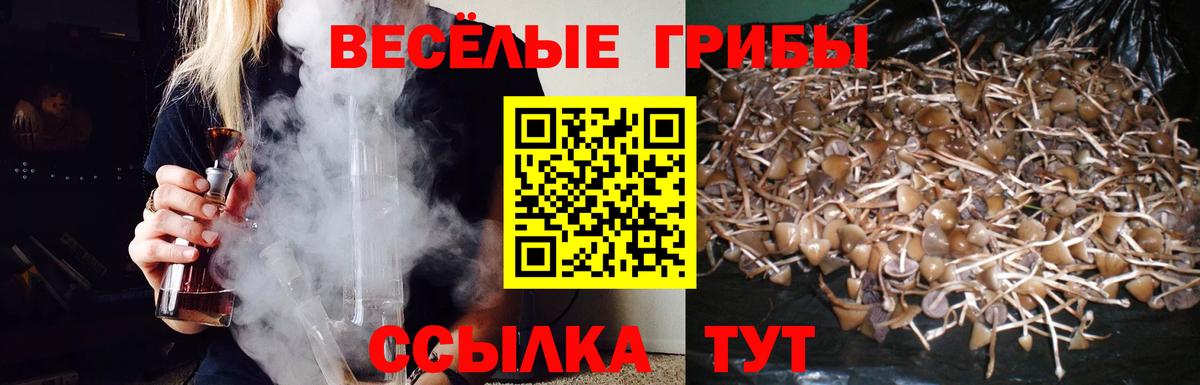Псилоцибиновые грибы MAGIC MUSHROOMS  Вход с VPN  Аргун  Псилоцибиновые грибы прущие грибы 